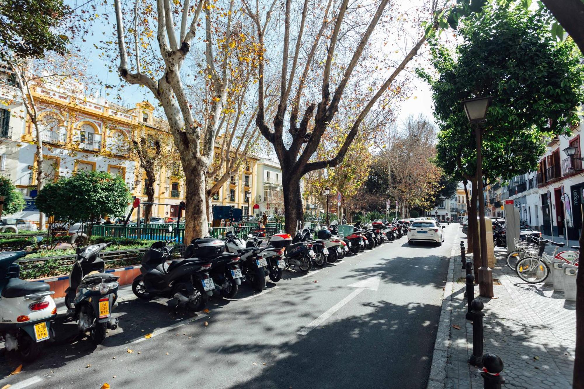 Luxury And Cozy- 1Bd 1Bth- Las Setas Seville Ngoại thất bức ảnh